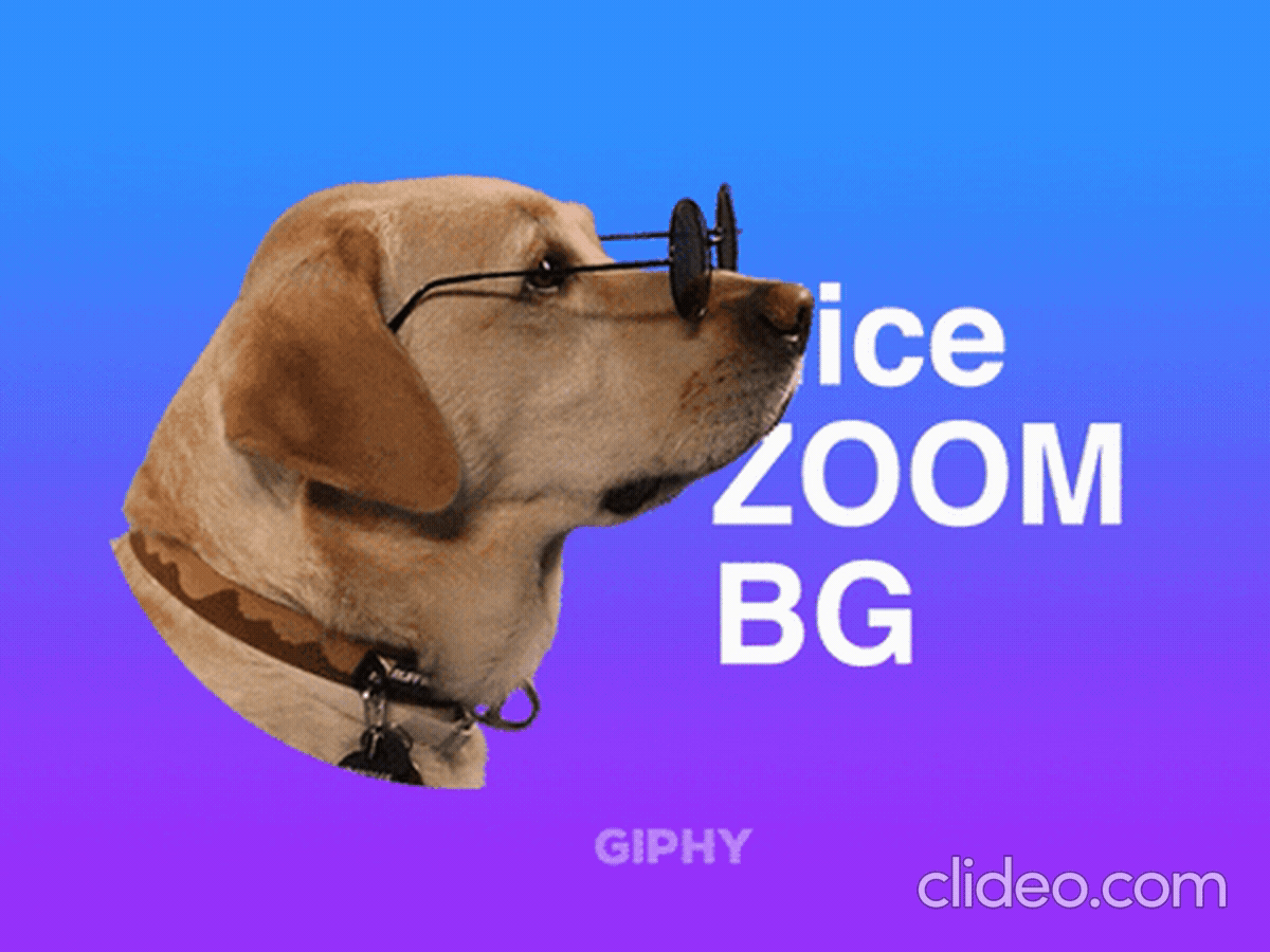 Giphy