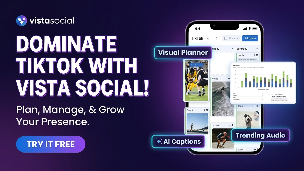 Vista Social for TikTok