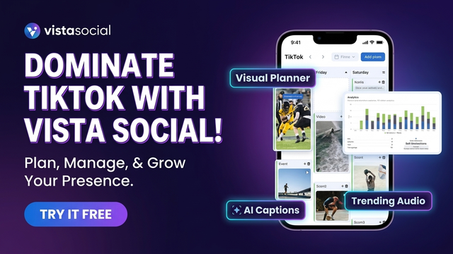 Vista Social for TikTok