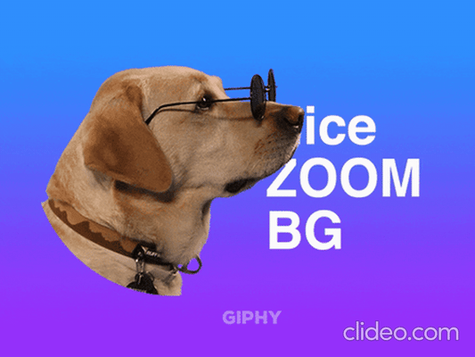 Giphy